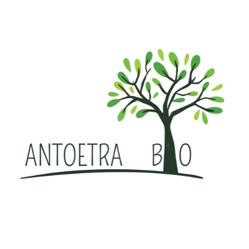 antoetra bio (rounded)