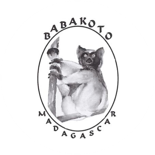 babakoto logo (rounded)