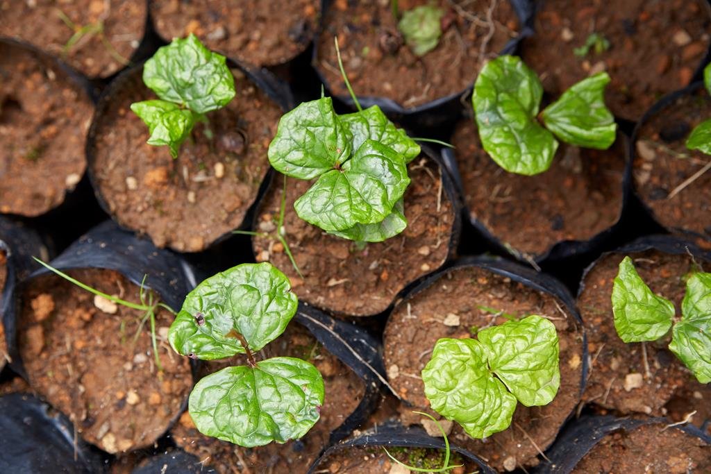 banques d images photos (1)