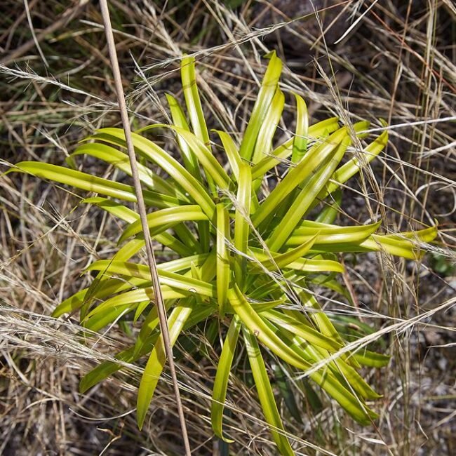 banques d images photos (12)