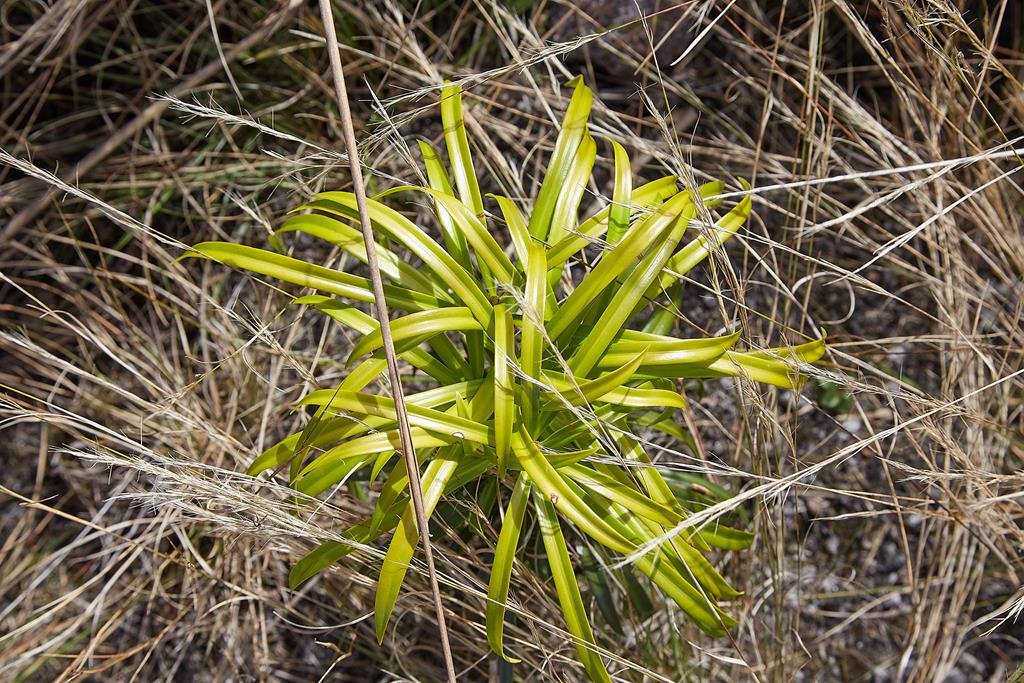 banques d images photos (12)