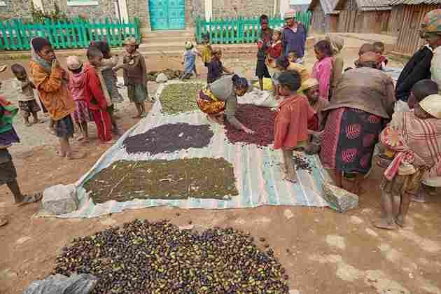 Accueil texte 2 photo 1 11zon