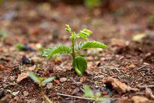 Accueil texte 2 photo 6 11zon