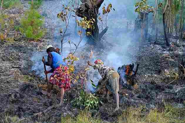 Accueil texte 2 photo 7 11zon