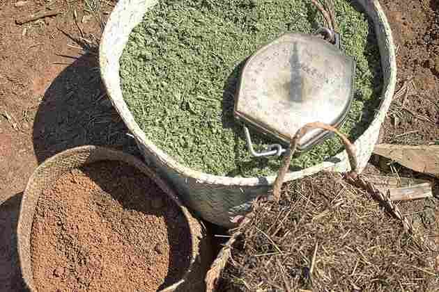 Accueil texte 2 photo 8 11zon