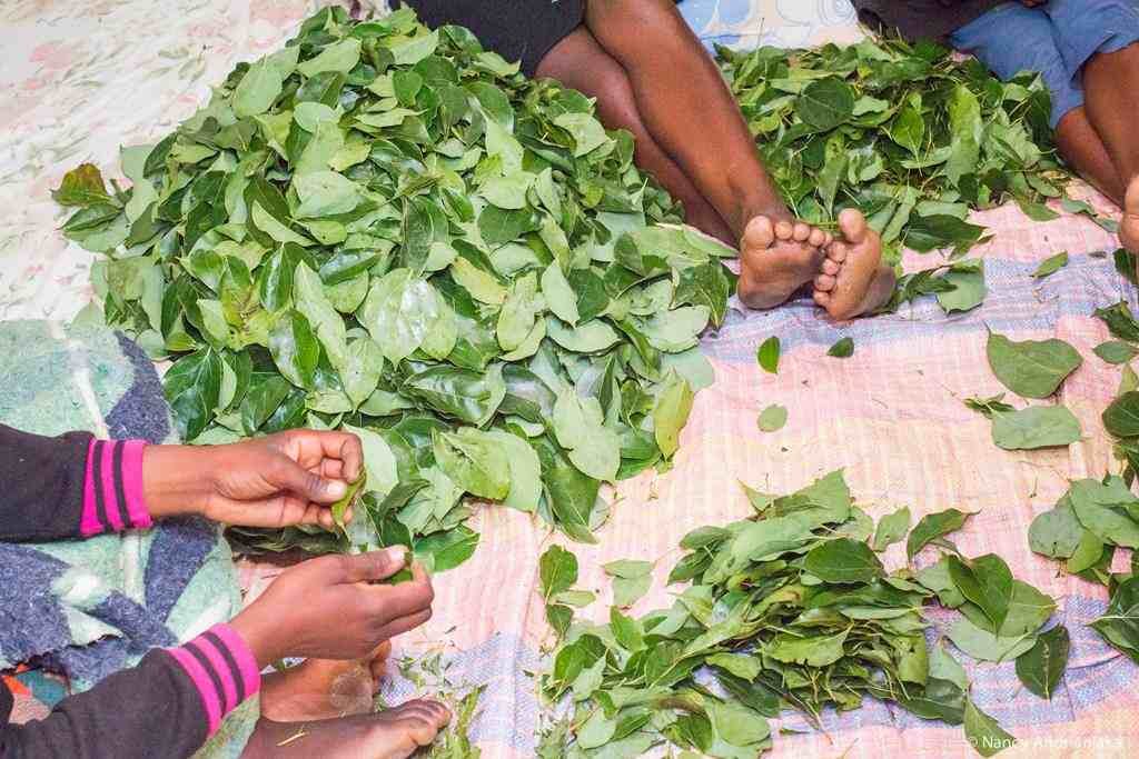 Accueil texte 4 photos 2 11zon