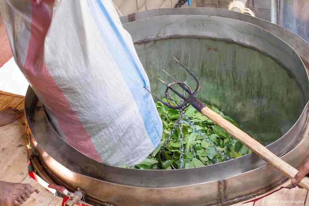 Accueil texte 4 photos 3 11zon