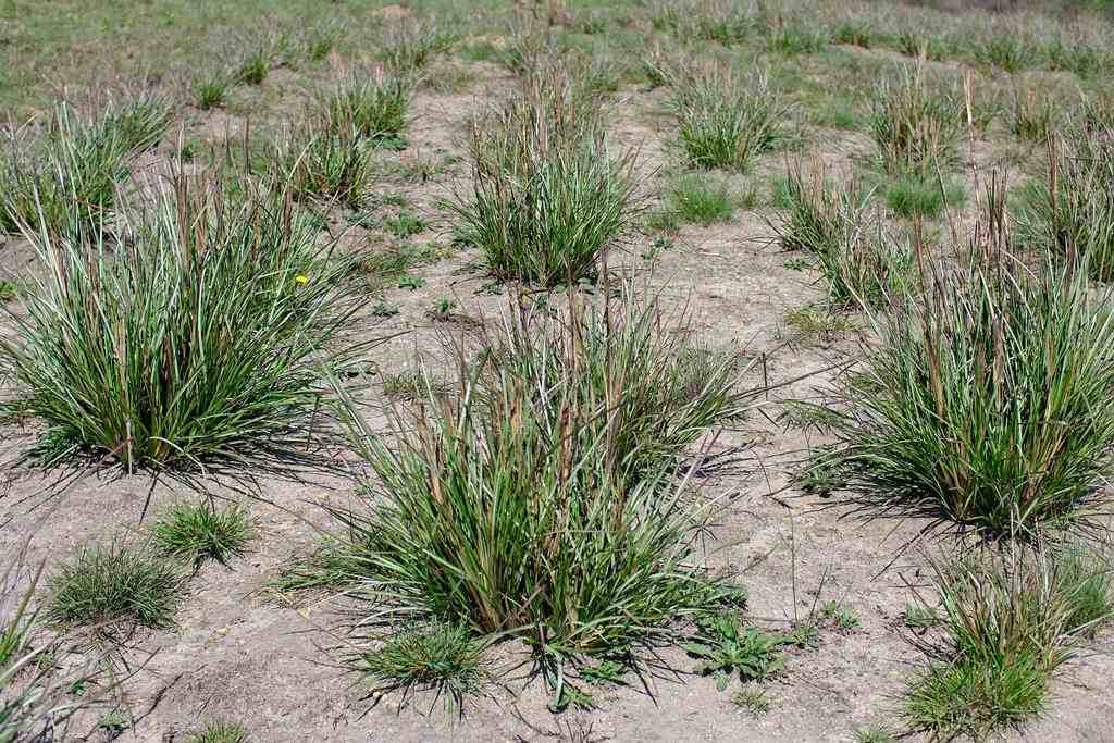 Accueil texte 4 photos 5 11zon